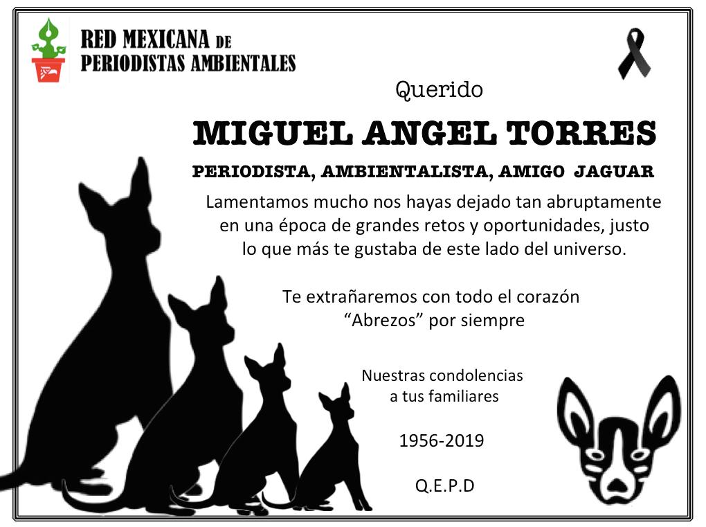homenaje